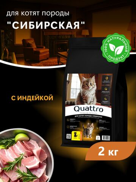Корм сухой для котят породы Сибирская, с индейкой, 2кг, QUATTRO