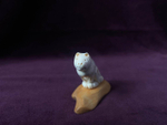 Кот 3