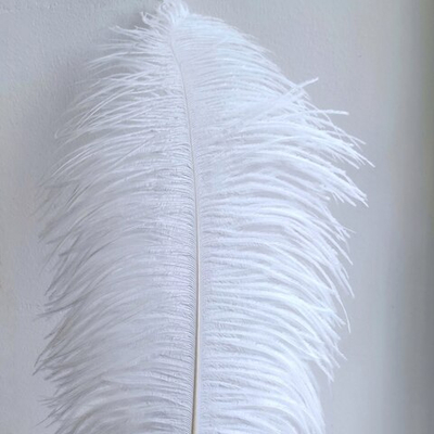 Перо страуса белое 50 - 55 см.