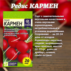 Набор семян редиса: лучшие сорта для урожая в вашем саду. Семена Алтая