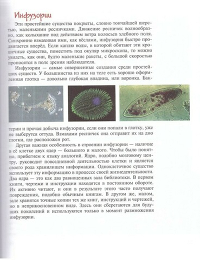Птицы, рыбы и слоны... Занимальная книга школьника. Н. С. Медведева