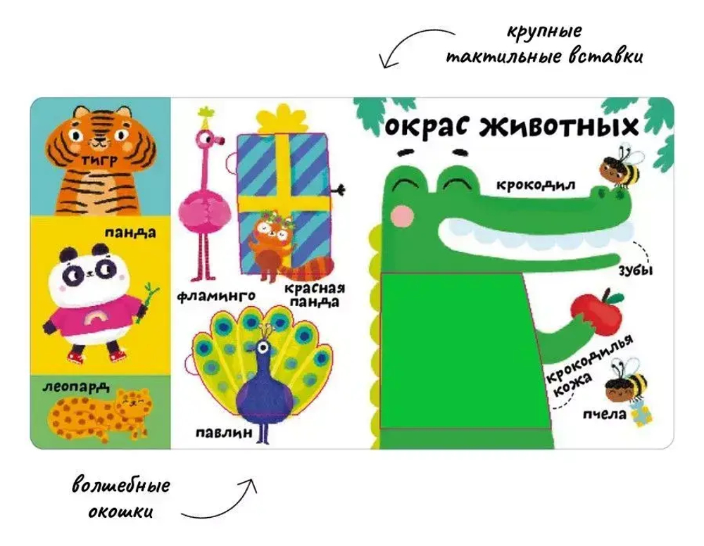 Мои первые 100 слов с окошками