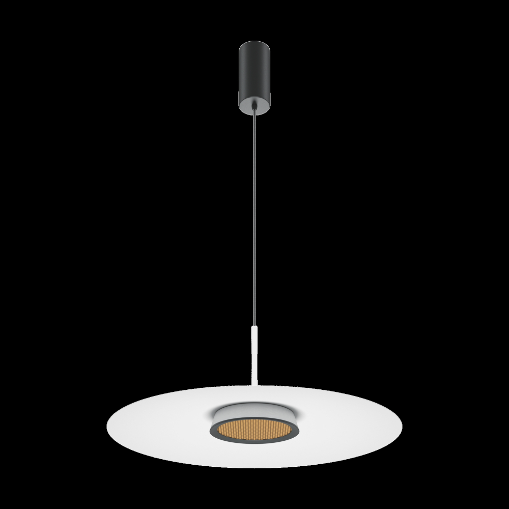 Подвесной светодиодный светильник Maytoni El MOD041PL-L15W3K1