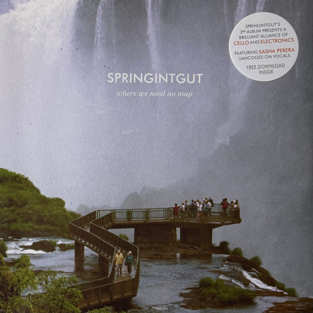 Springintgut ‎– Where We Need No Map (Германия 2013г.)