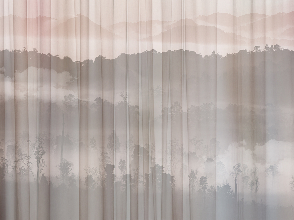 Коллекция FORESTA