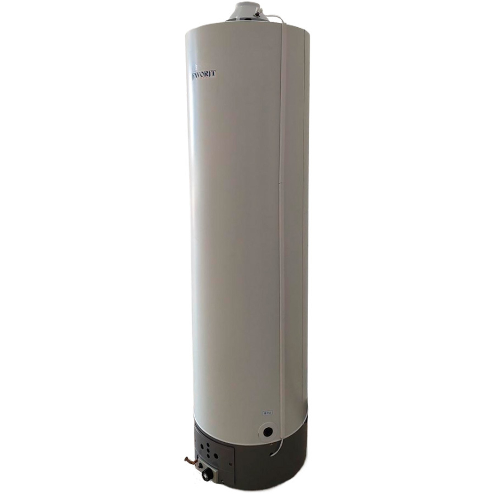 Газовый бойлер Favorit FGS-200L GSWH