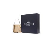 Сумка COACH Mollie Logo, CA582-IMDQC