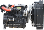 Двигатель дизельный YangDong Y4110ZLD