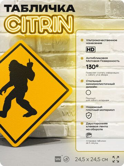 Табличка "Осторожно, снежный человек №1" шуточная прикольная табличка на дверь и стену, для офиса и дома, декоративный знак, 24,5х24,5 см, пластиковая, Айдентика Технолоджи