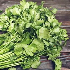 Кинза свежая / 100 гр Кинза свежая / 100 гр