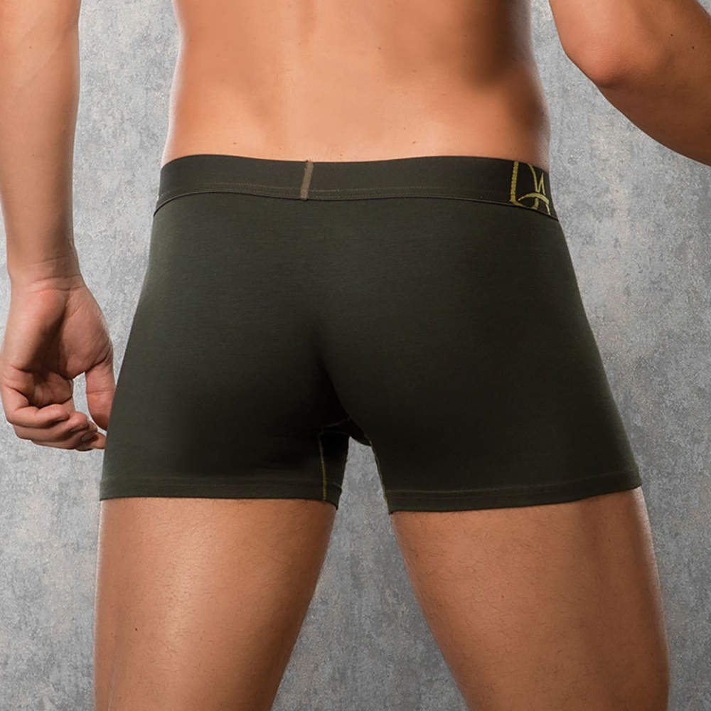 Боксеры с золотистыми контурными линиями Doreanse Panel (Размер: XXL) (Цвет: хаки)