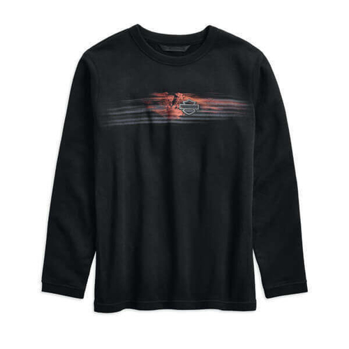 Мужской свитшот Harley-Davidson