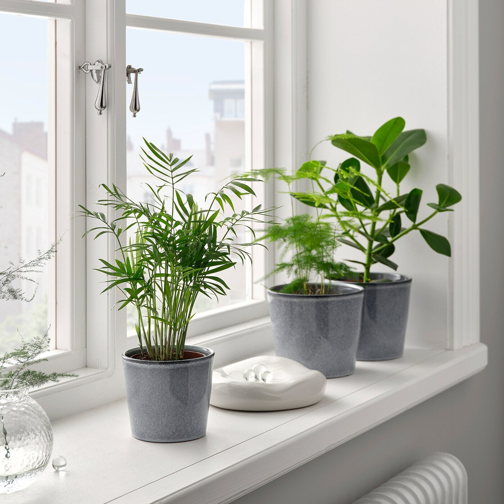 Горшок для растений IKEA FJARILSBUSKE (ФЬЯРИЛСБУСКЕ), Серый, 9 см