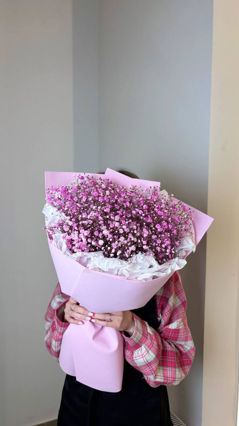 Гипсофилы казань