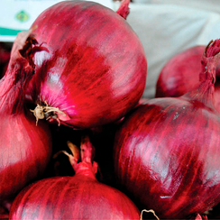 РЕДРОВЕР F1 семена лука репчатого (Hazera | Хазера)