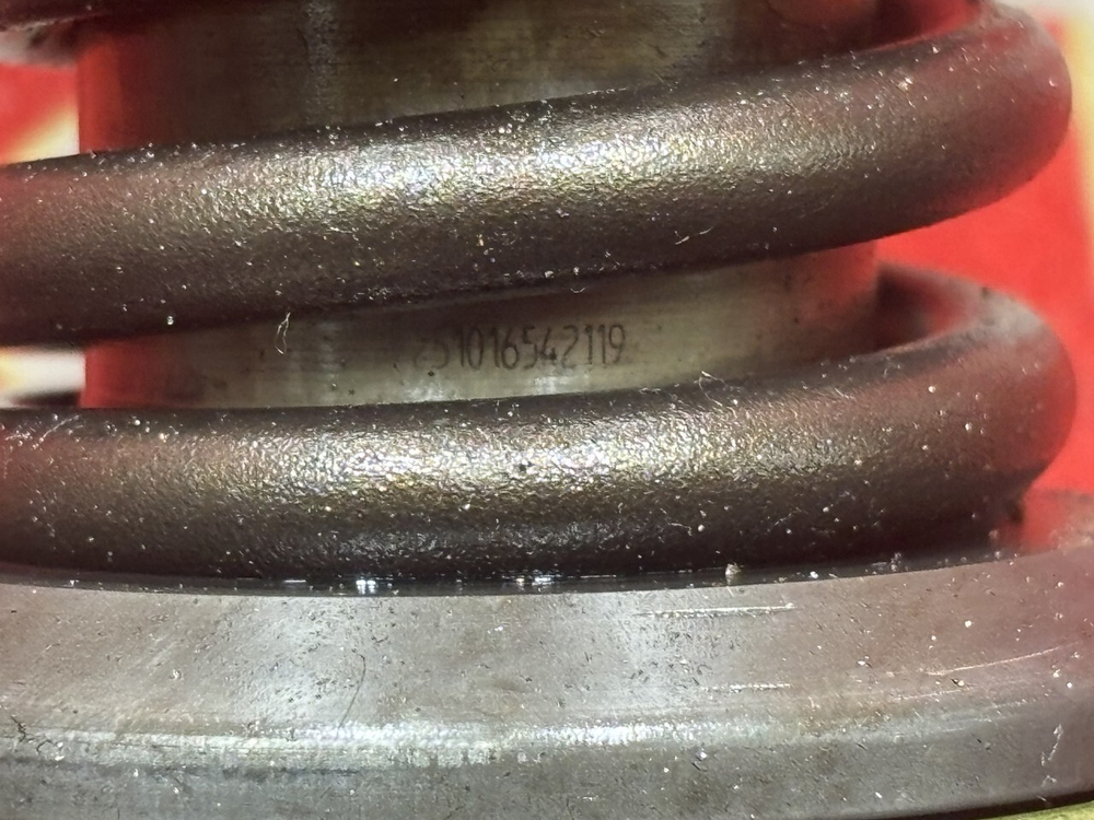 PLD секция 2019г.