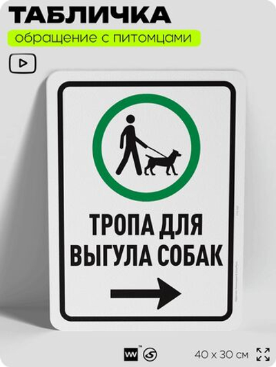 Табличка "Тропа для выгула собак" на дверь и забор, для двора, дома, подъезда, 40х30 см, Silver Plane x Айдентика Технолоджи