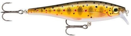 Воблер RAPALA BX Minnow 10 см, 12 г, цвет TR