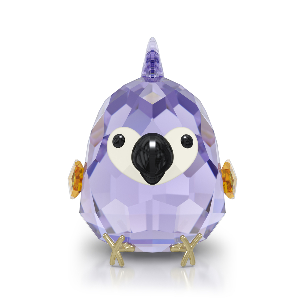 ALL YOU NEED ARE BIRDS:PURPLE MACAW