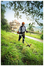 Бензиновый триммер STIHL FS 250 BrushCut, 1.6 кВт, антивибрационная система, плечевой ремень