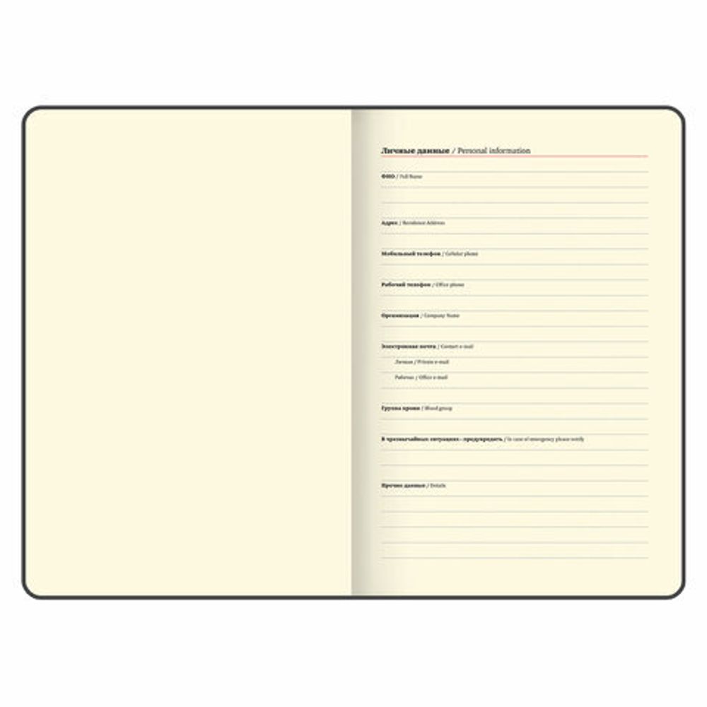 Еженедельник датированный 2025 А5 145х215 мм BRAUBERG "Augustus", под кожу, голубой, 115953