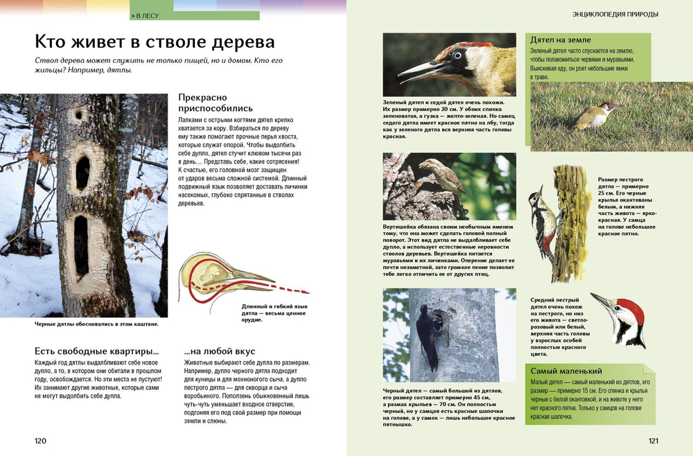Новаторы. Энциклопедия природы