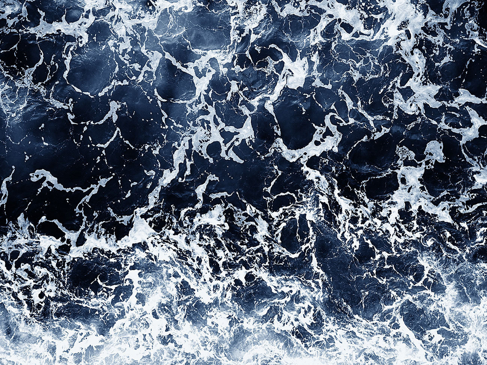 Дизайнерские обои Wall Street Bird see