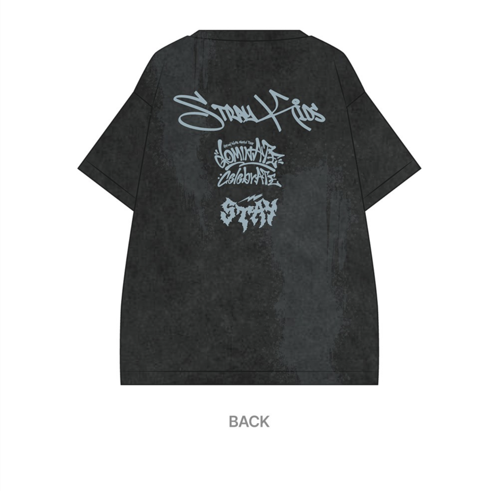 Мерч Stray Kids T-SHIRT- celebrATE