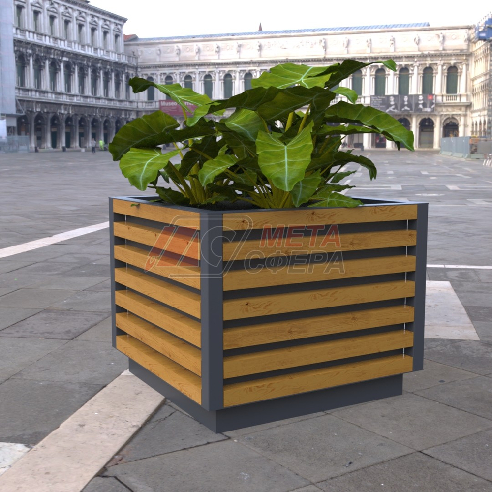 Вазон Кортен M