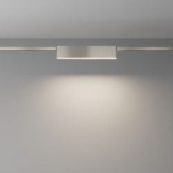 Накладной светильник Maytoni Basis TR151-1-12W4K-PT