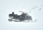 Снегоход SHARMAX SHP-1000 EFI