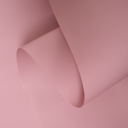 ЛИСТ ПЛОТНЫЙ ФЛОРАНС 58*58/20шт №2