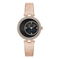 CERRUTI 1881 DLBIA