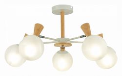 Люстра на штанге EVOLUCE Catania SLE220702-05