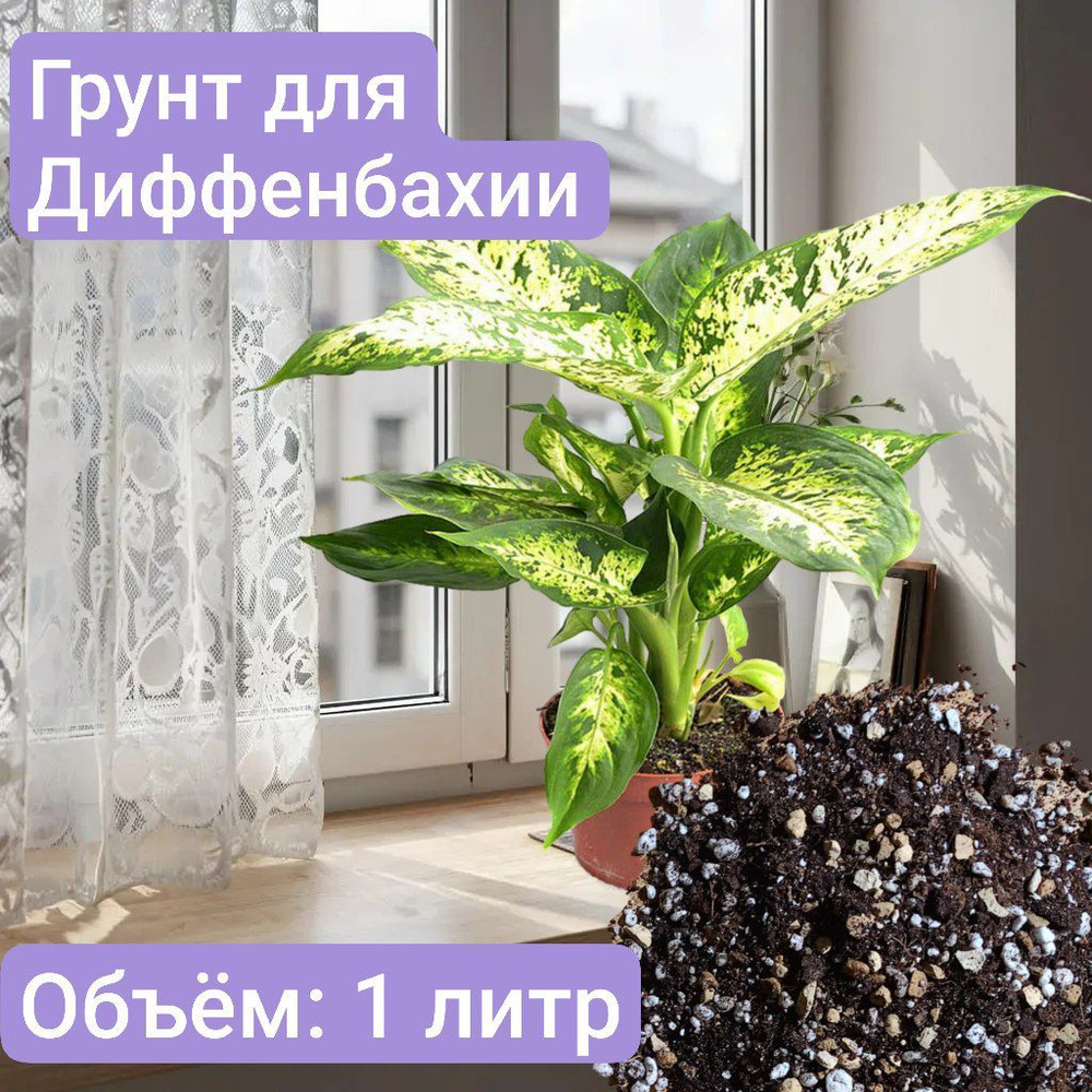 Авторский грунт для Диффенбахии 1 литр