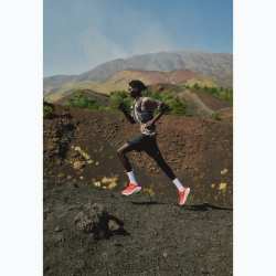 Кроссовки для бега Salomon Ultra Glide 4 riery red/vanilla ice/black