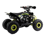Квадроцикл MOTOLAND Raptor 110