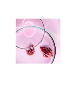 Shiseido Ultimune Power Infusing Concentrate - тонизирующий и защитный концентрат для лица /   50  ml  / GTIN 768614172840