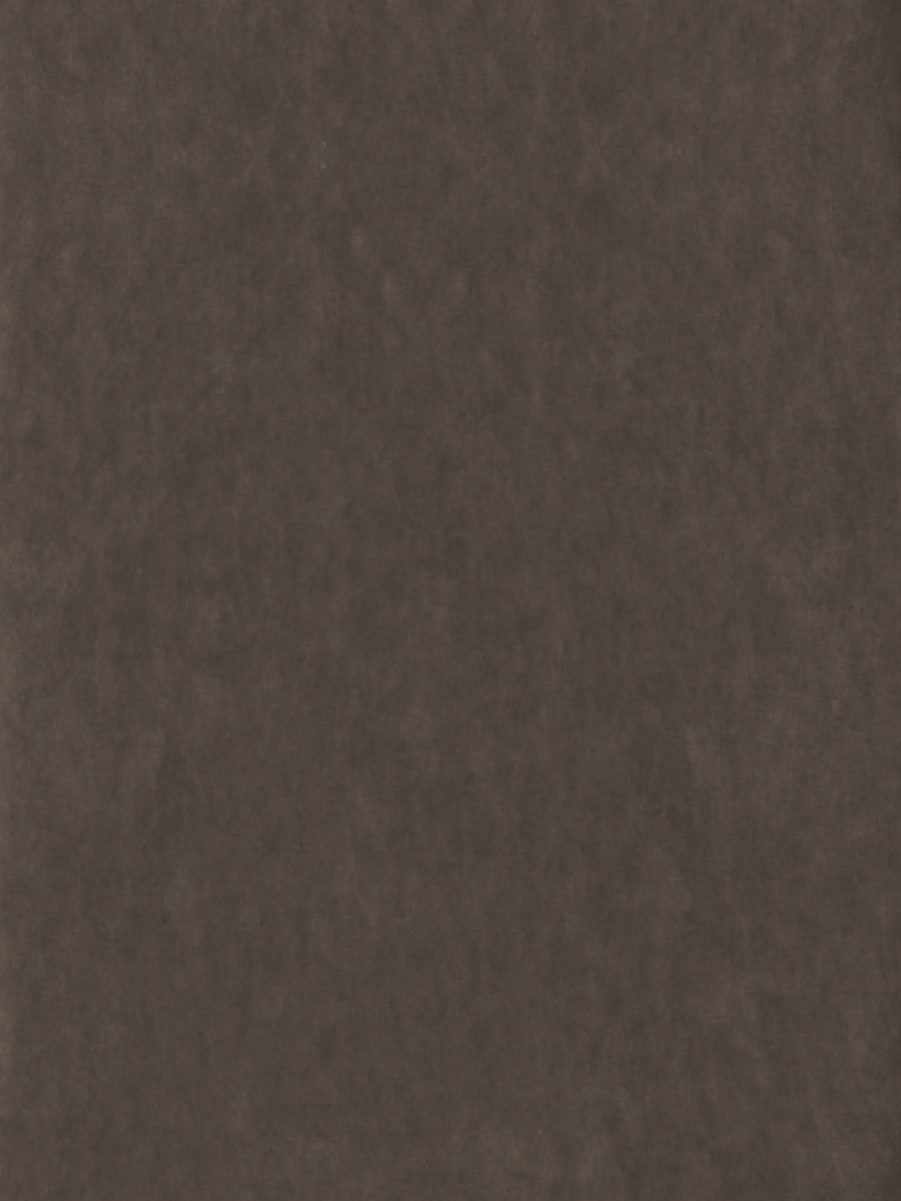 Стул DAFNA 1 деревянный, черное дерево + велюр 232