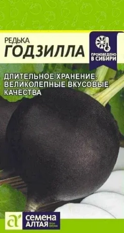 Редька черная