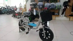 Электровелосипед MOTAX E-NOT EXPRESS PRO 6020 MК