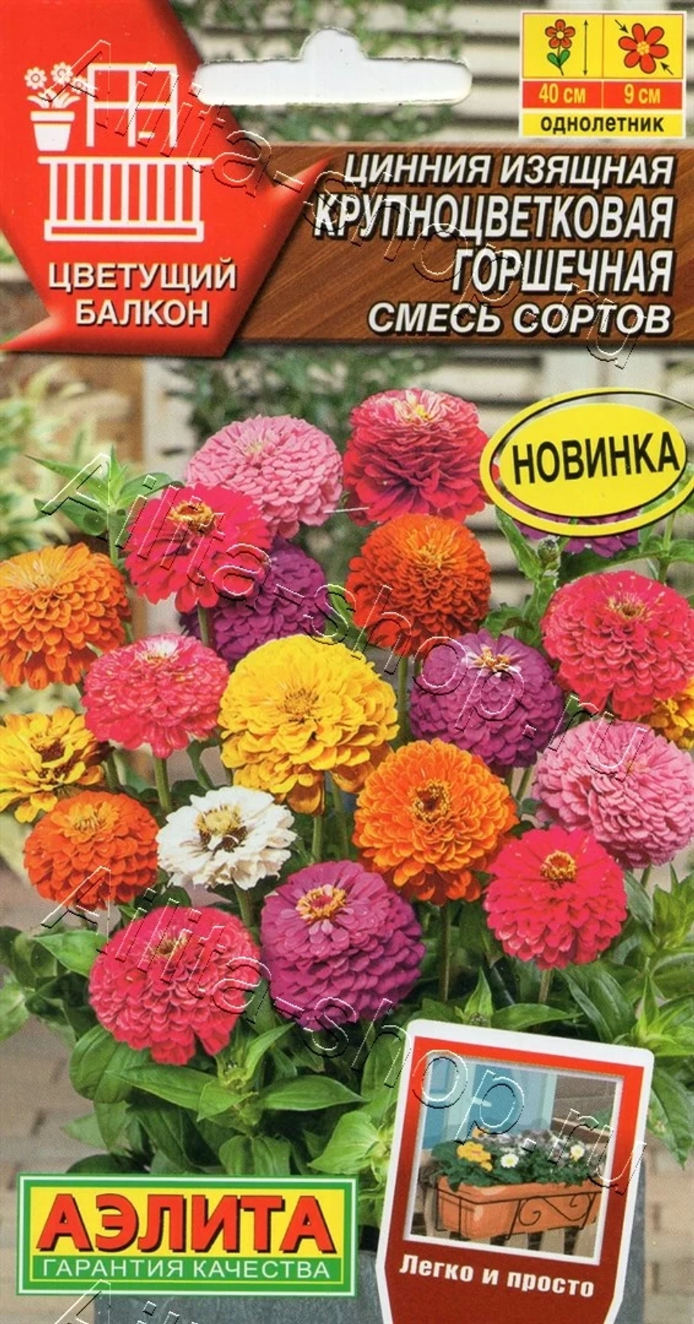 Цинния Крупноцветковая горшечная, смесь сортов 12шт (Аэлита)