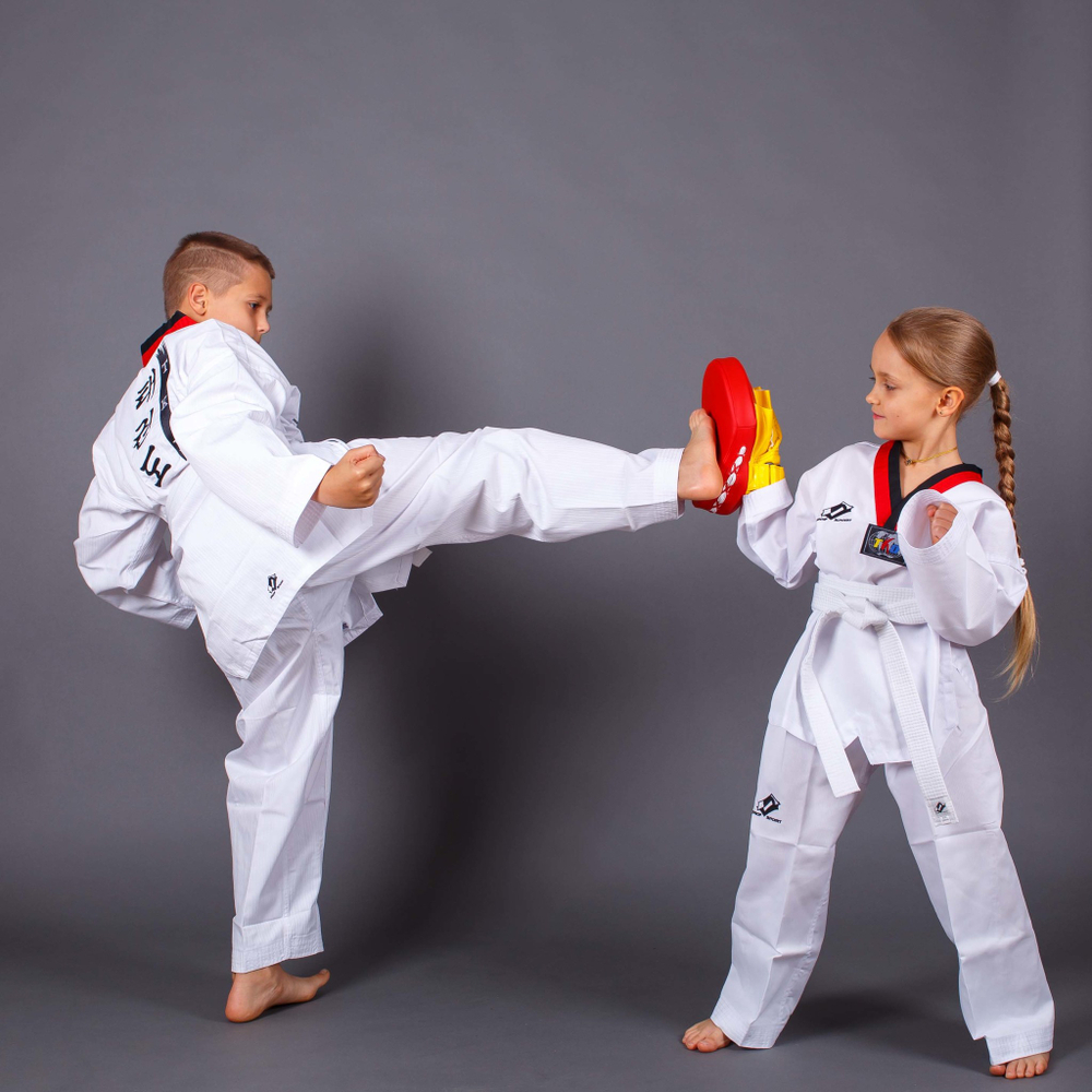 Лапа тренерская ProfSport для Тхэквондо