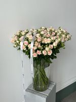 Кустовая роза в нежном оттенке