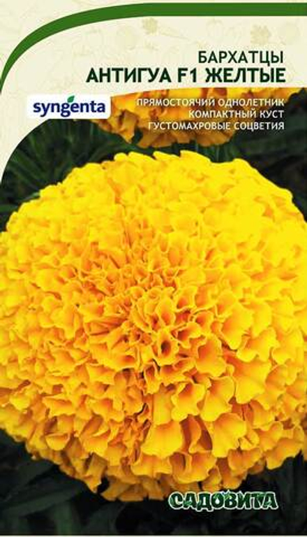 Бархатцы Антигуа F1 Желтые 5шт Syngenta/Садовита