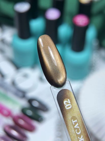 Гель-лак с эффектом кошачий глаз ENIGMANIC AURA silk cat 10 мл. #02