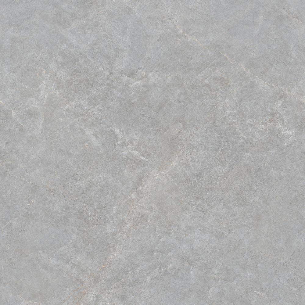 Керамогранит, MAIMOON, Casa Grey, 1000x1000 мм, полированная