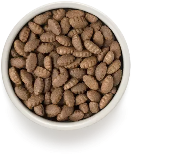 Grandorf Сухой корм для взрослых собак крупных пород Индейка