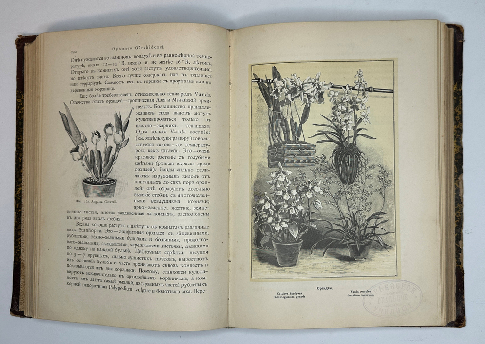 Гесдерфер М. Комнатное садоводство. СПб. Изд. Девриена, 1898г.