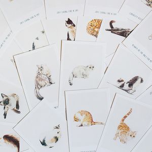 Набор открыток Cat